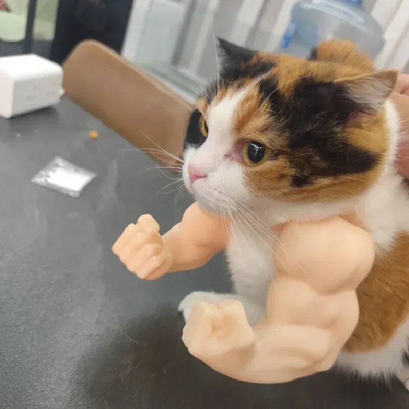 Body Builder Neck Hanging Pet Toy