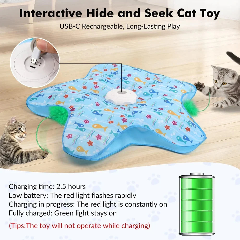Cat Interactive Hide and Seek Toy
