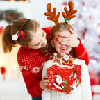 Fun Christmas Gift Money Box