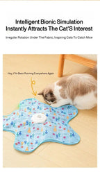 Cat Interactive Hide and Seek Toy