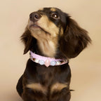 THE AURA CRYSTAL COLLAR