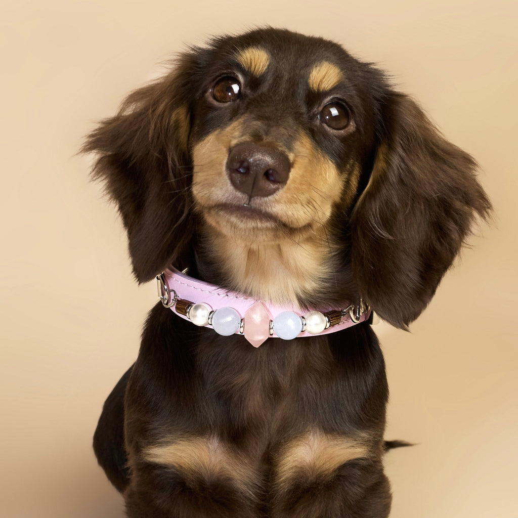 THE AURA CRYSTAL COLLAR