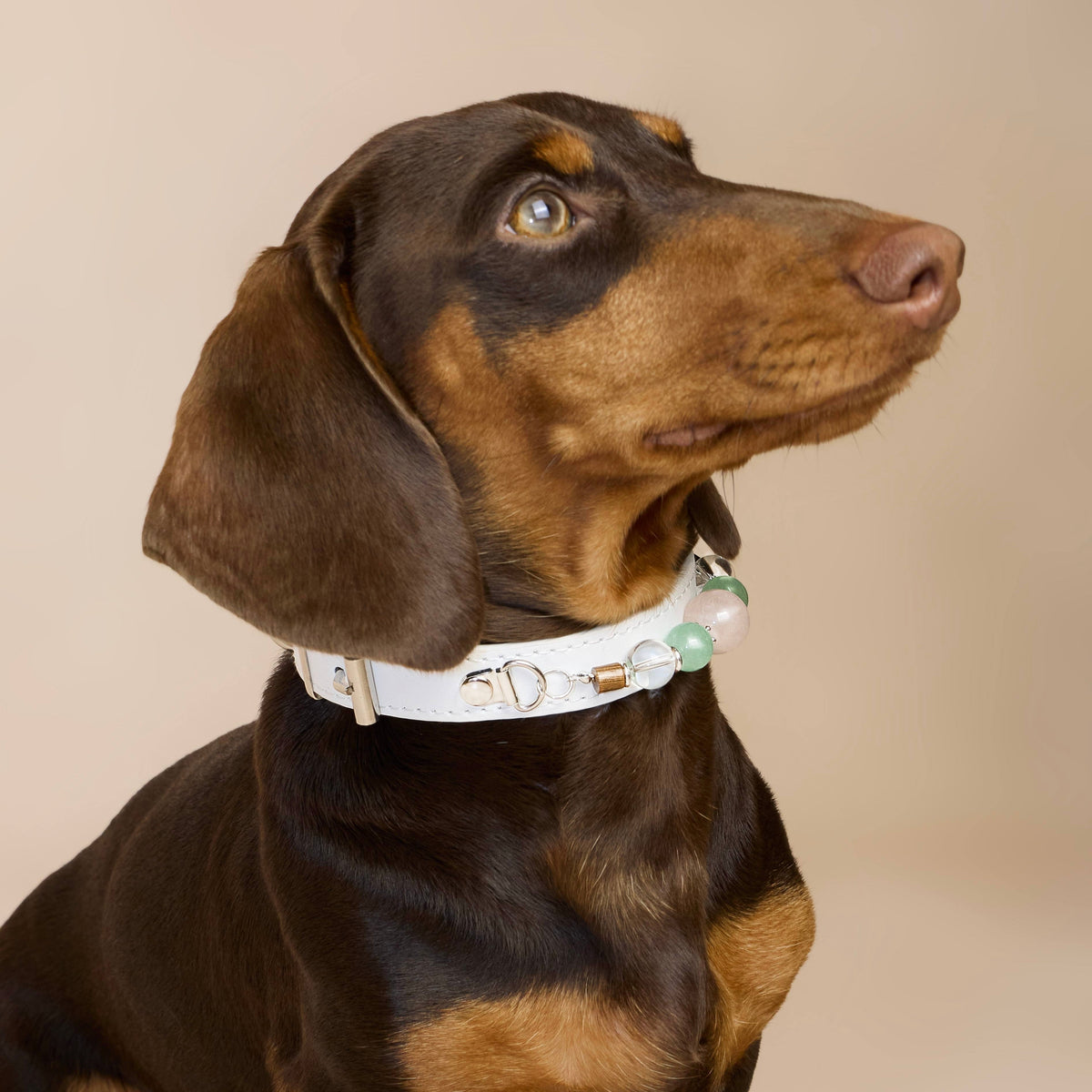 THE AURA CRYSTAL COLLAR