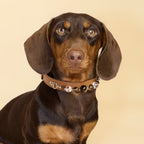 THE AURA CRYSTAL COLLAR