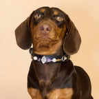 THE AURA CRYSTAL COLLAR