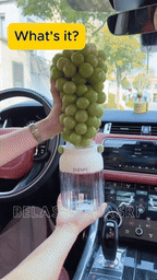 Rechargeable Portable Juicer