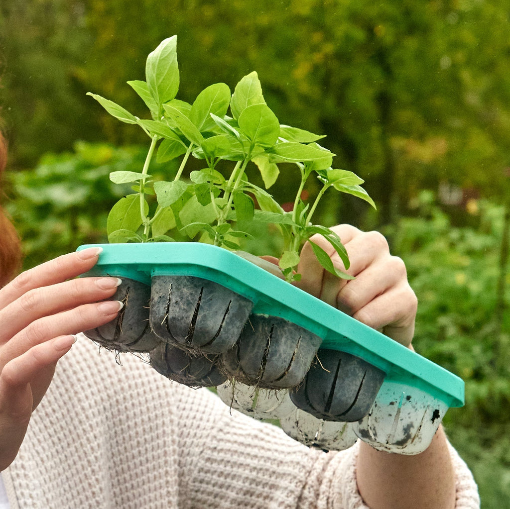Plant Tray