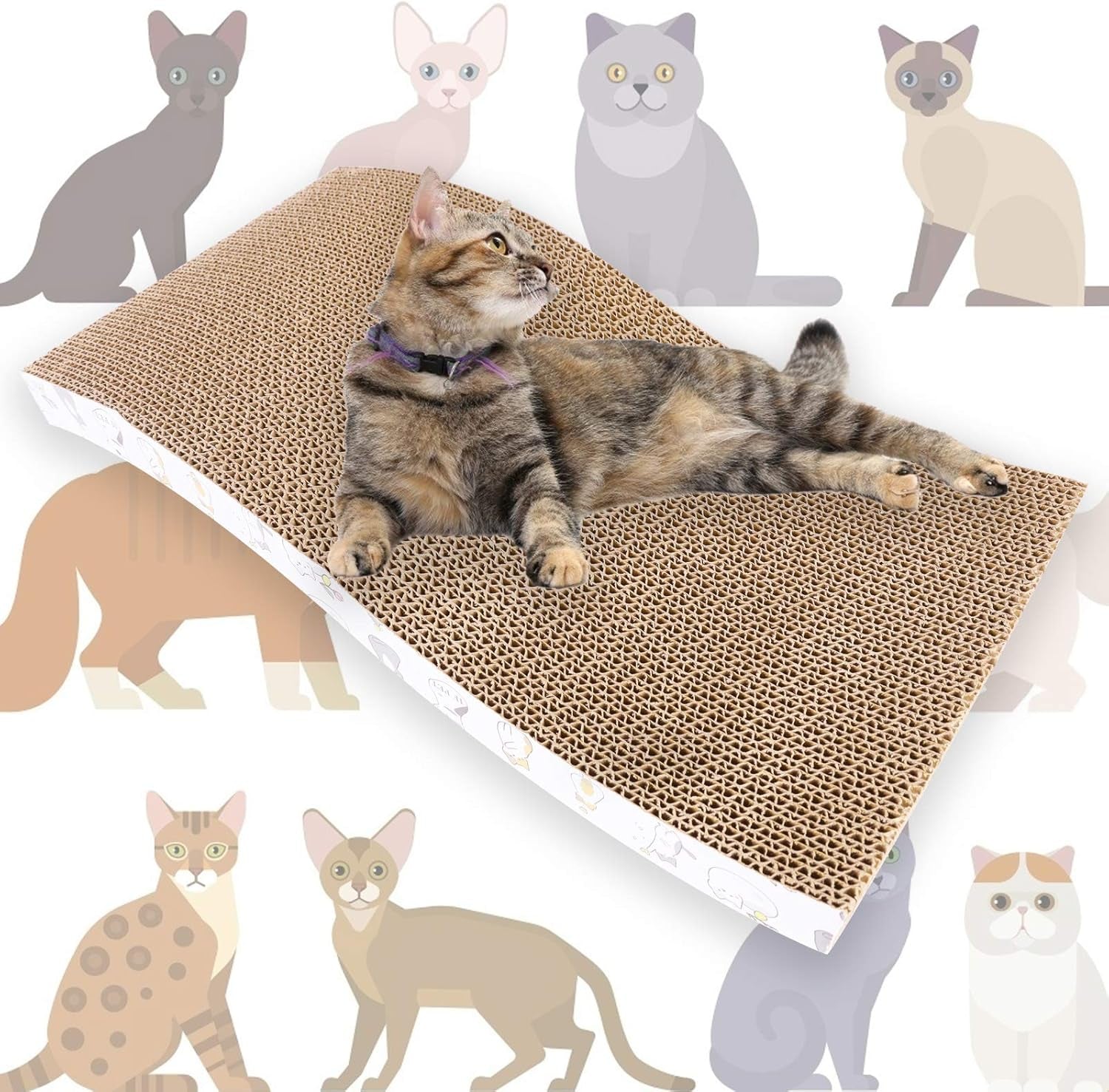 Cat Scratcher Pad, 3 Pack