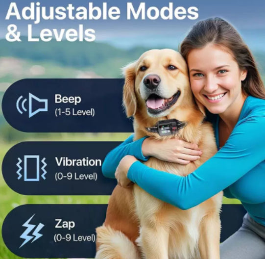 MirokenWireless GPS Dog Fence System — No Wire, No Shock