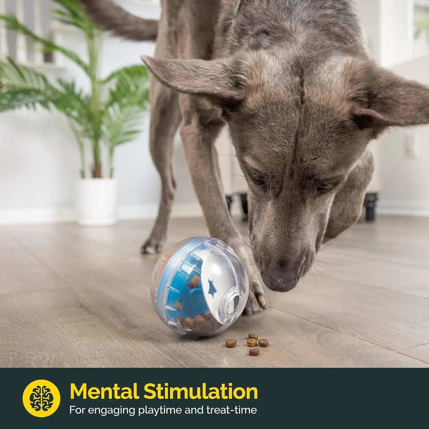 IQ Treat Ball Dog Toy & Slow Feeder
