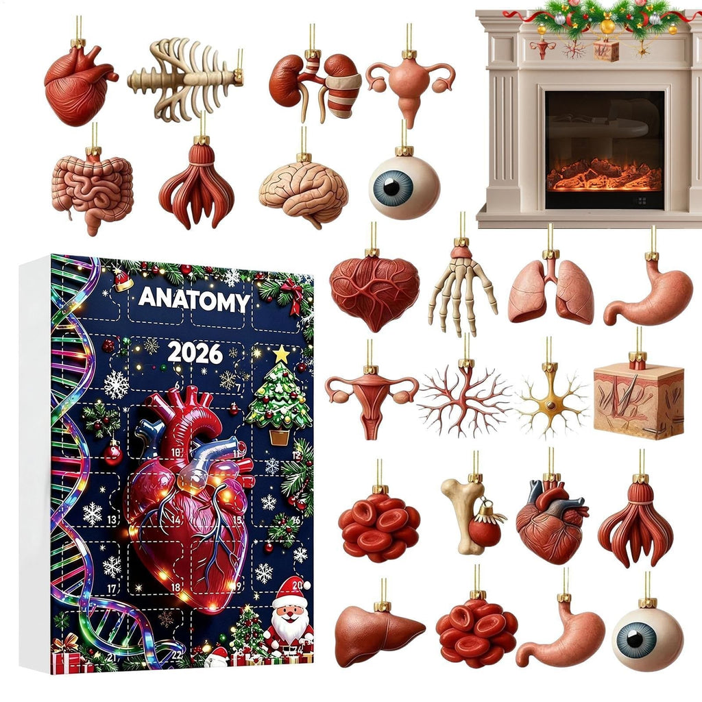 Anatomy Advent Calendar 2026 - 24 Human Organ Ornaments