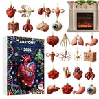 Anatomy Advent Calendar 2026 - 24 Human Organ Ornaments