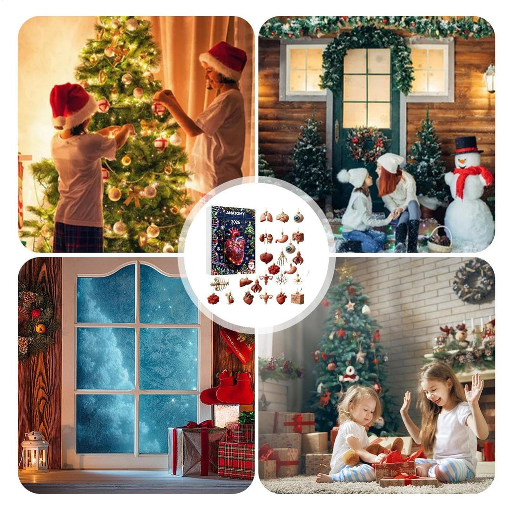 Anatomy Advent Calendar 2026 - 24 Human Organ Ornaments