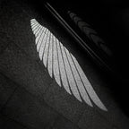Angel Wing Side Mirror Welcome Projector Light for Tesla Model 3/Y (2017+)