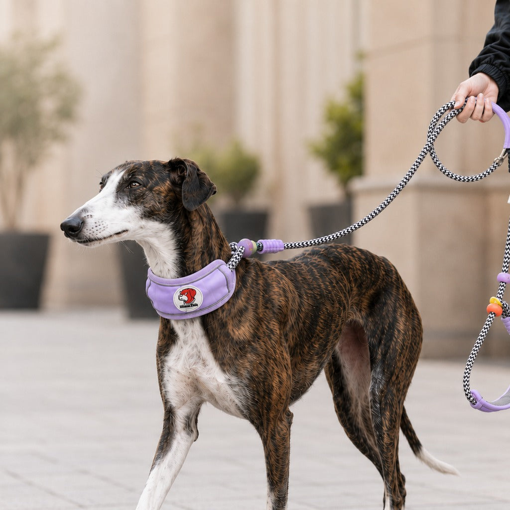 MirokenAnti-Choke Dog Leash for Everyday Walks - Padded Neck Protection & Better Control for Pullers