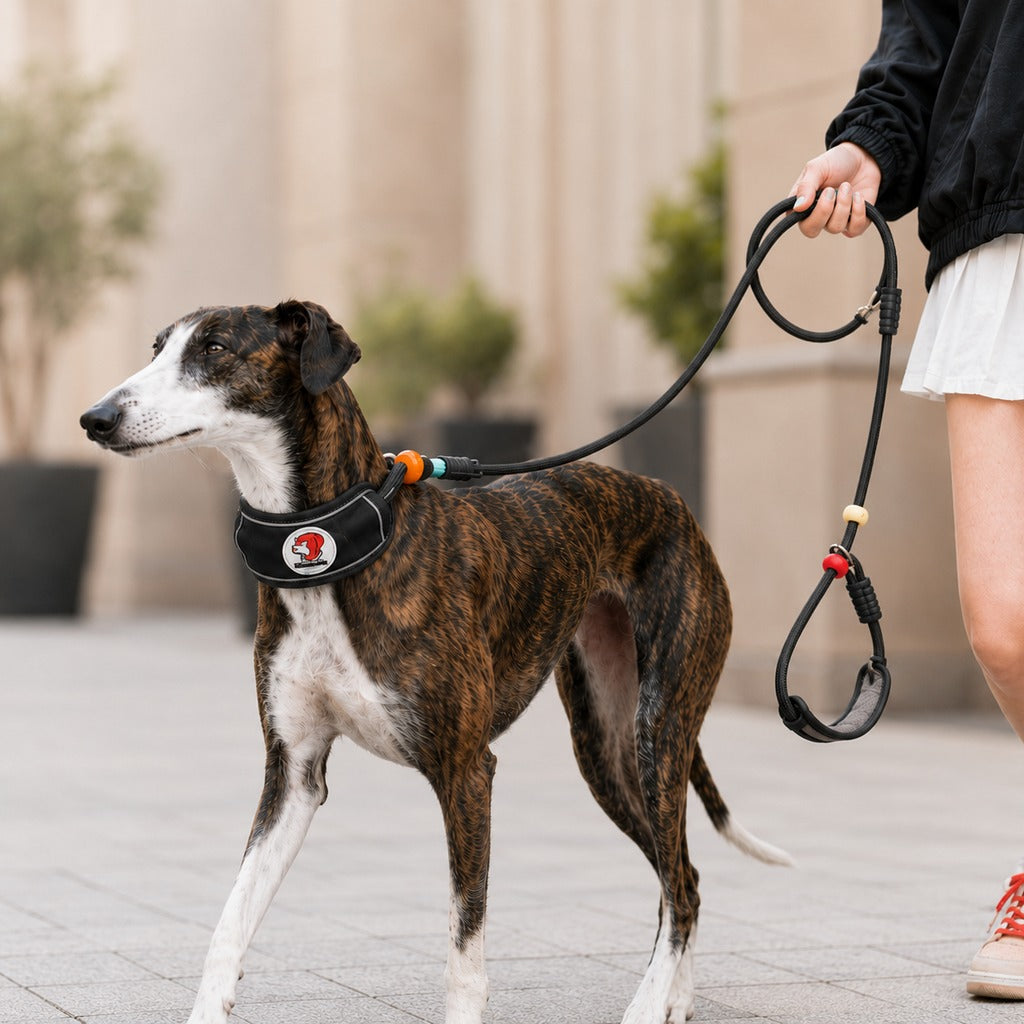 MirokenAnti-Choke Dog Leash for Everyday Walks - Padded Neck Protection & Better Control for Pullers
