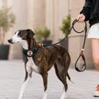 MirokenAnti-Choke Dog Leash for Everyday Walks - Padded Neck Protection & Better Control for Pullers