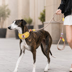 MirokenAnti-Choke Dog Leash for Everyday Walks - Padded Neck Protection & Better Control for Pullers