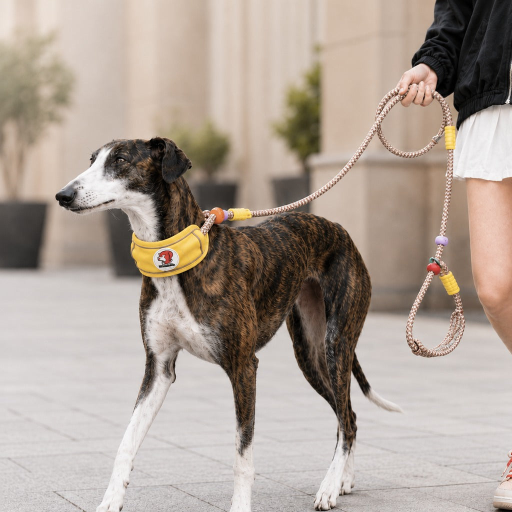 MirokenAnti-Choke Dog Leash for Everyday Walks - Padded Neck Protection & Better Control for Pullers