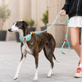 MirokenAnti-Choke Dog Leash for Everyday Walks - Padded Neck Protection & Better Control for Pullers