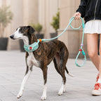 MirokenAnti-Choke Dog Leash for Everyday Walks - Padded Neck Protection & Better Control for Pullers