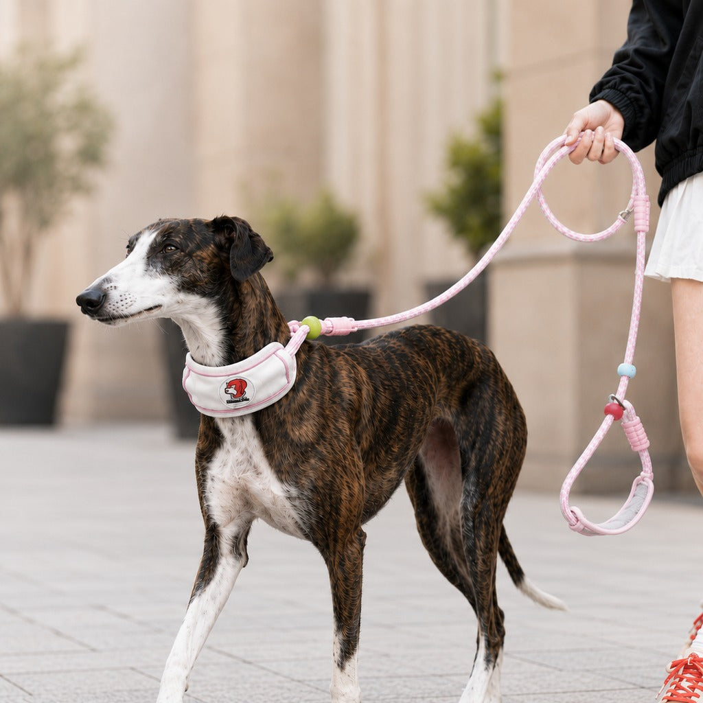 MirokenAnti-Choke Dog Leash for Everyday Walks - Padded Neck Protection & Better Control for Pullers