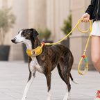 MirokenAnti-Choke Dog Leash for Everyday Walks - Padded Neck Protection & Better Control for Pullers