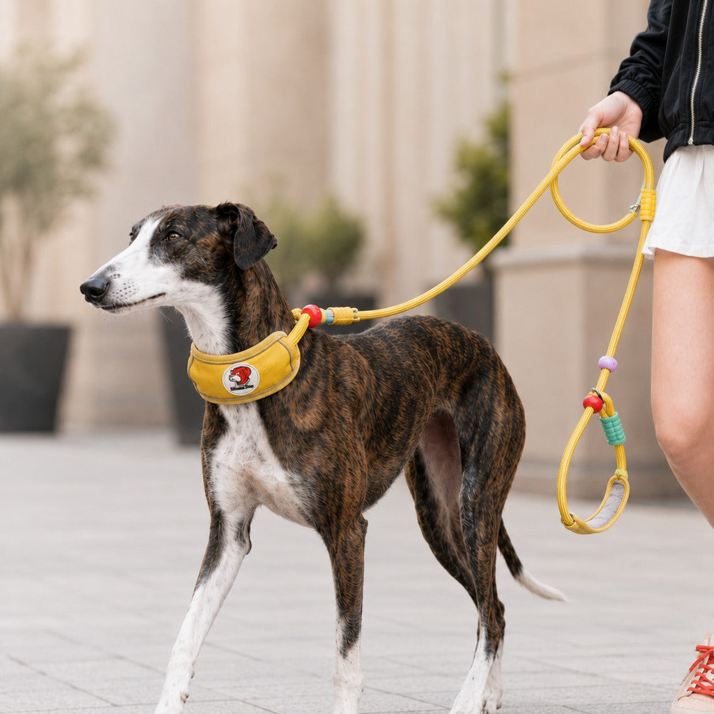 MirokenAnti-Choke Dog Leash for Everyday Walks - Padded Neck Protection & Better Control for Pullers