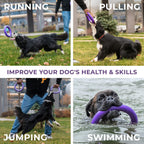 Puller Dog Ring Toy, 2 Rings