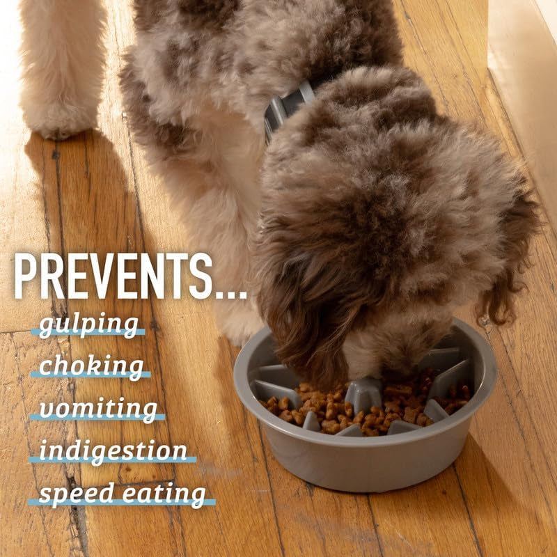 Maze Slow Feeder Dog Bowl, 2 Cup