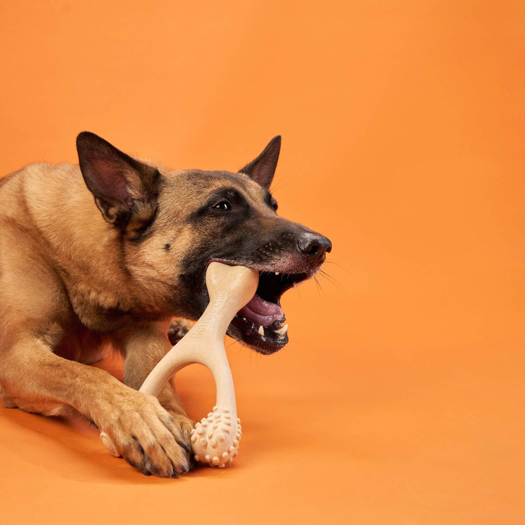 BetterBone Natural Dog Chew Toy