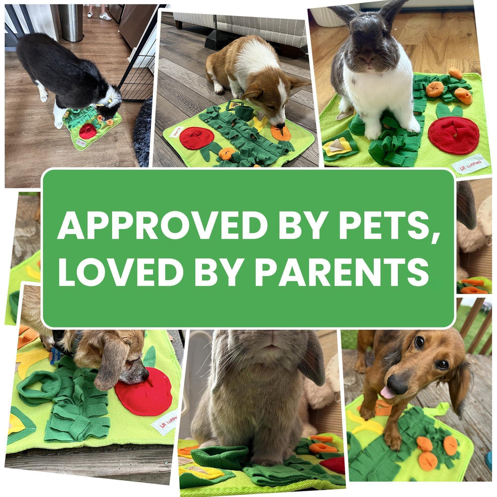 Snuffle Mat for Small Pets