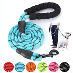 Strong Nylon Reflective Dog Leash â Heavy-Duty, Tangle-Free Pet Leash
