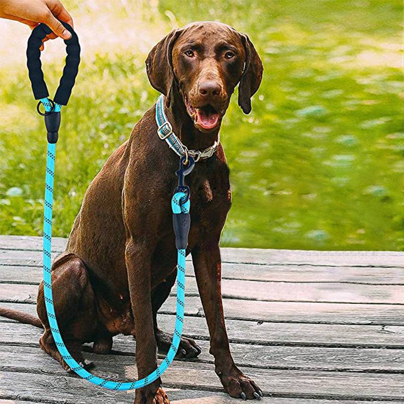 Strong Nylon Reflective Dog Leash â Heavy-Duty, Tangle-Free Pet Leash