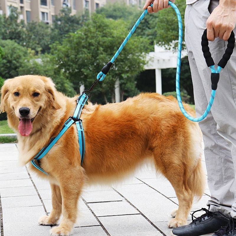 Strong Nylon Reflective Dog Leash â Heavy-Duty, Tangle-Free Pet Leash