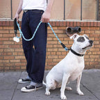 Strong Nylon Reflective Dog Leash â Heavy-Duty, Tangle-Free Pet Leash