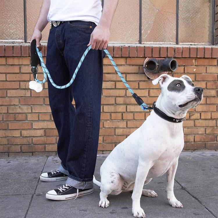 Strong Nylon Reflective Dog Leash â Heavy-Duty, Tangle-Free Pet Leash