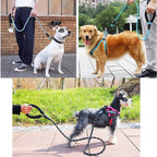 Strong Nylon Reflective Dog Leash â Heavy-Duty, Tangle-Free Pet Leash
