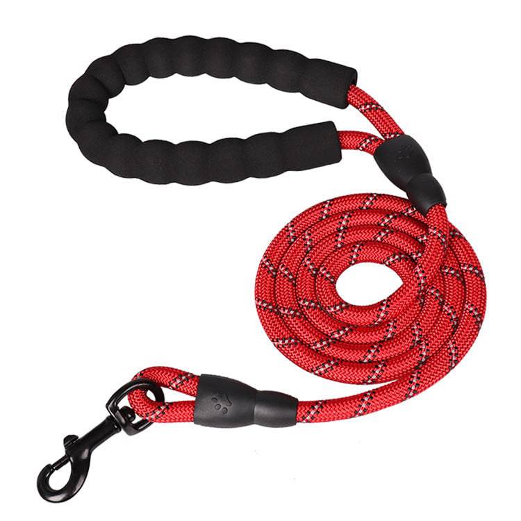 Strong Nylon Reflective Dog Leash â Heavy-Duty, Tangle-Free Pet Leash
