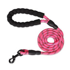 Strong Nylon Reflective Dog Leash â Heavy-Duty, Tangle-Free Pet Leash