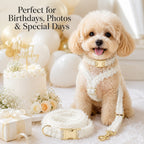 MirokenBoutique Lace Dog Harness, Collar & Leash Set for Birthday Photos & Daily Walks - 3-Piece Ruffle Walking Set