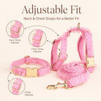 MirokenBoutique Lace Dog Harness, Collar & Leash Set for Birthday Photos & Daily Walks - 3-Piece Ruffle Walking Set