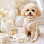 MirokenBoutique Lace Dog Harness, Collar & Leash Set for Birthday Photos & Daily Walks - 3-Piece Ruffle Walking Set