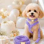 MirokenBoutique Lace Dog Harness, Collar & Leash Set for Birthday Photos & Daily Walks - 3-Piece Ruffle Walking Set
