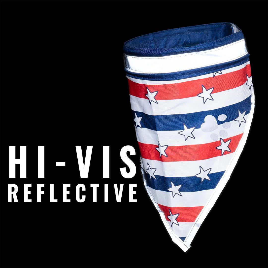 Reflective Pet Bandana 2-Pack, Medium