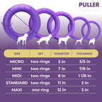 Puller Dog Ring Toy, 2 Rings