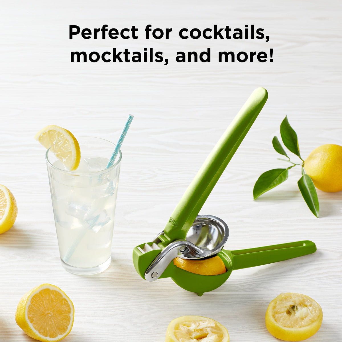 Citrus Juicer