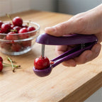 Cherry Pitter Remover Gadget