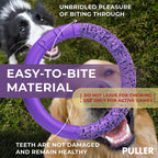 Puller Dog Ring Toy, 2 Rings