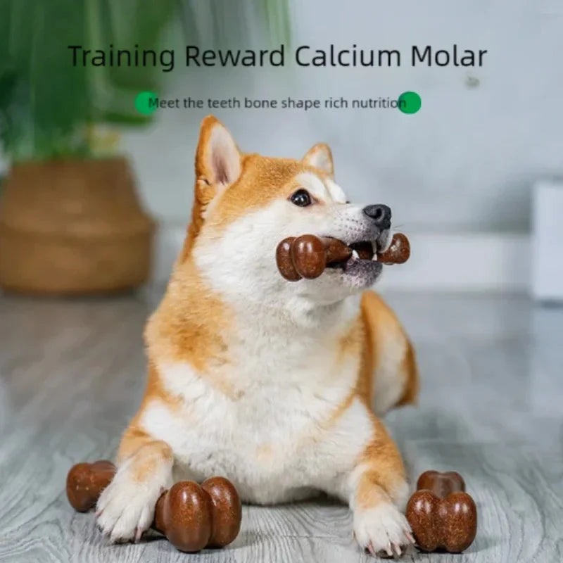 Durable Dog Bone Chew Toy